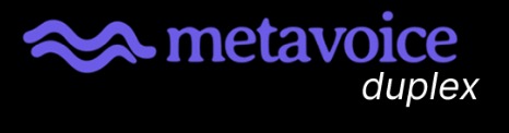 MetaVoice Logo